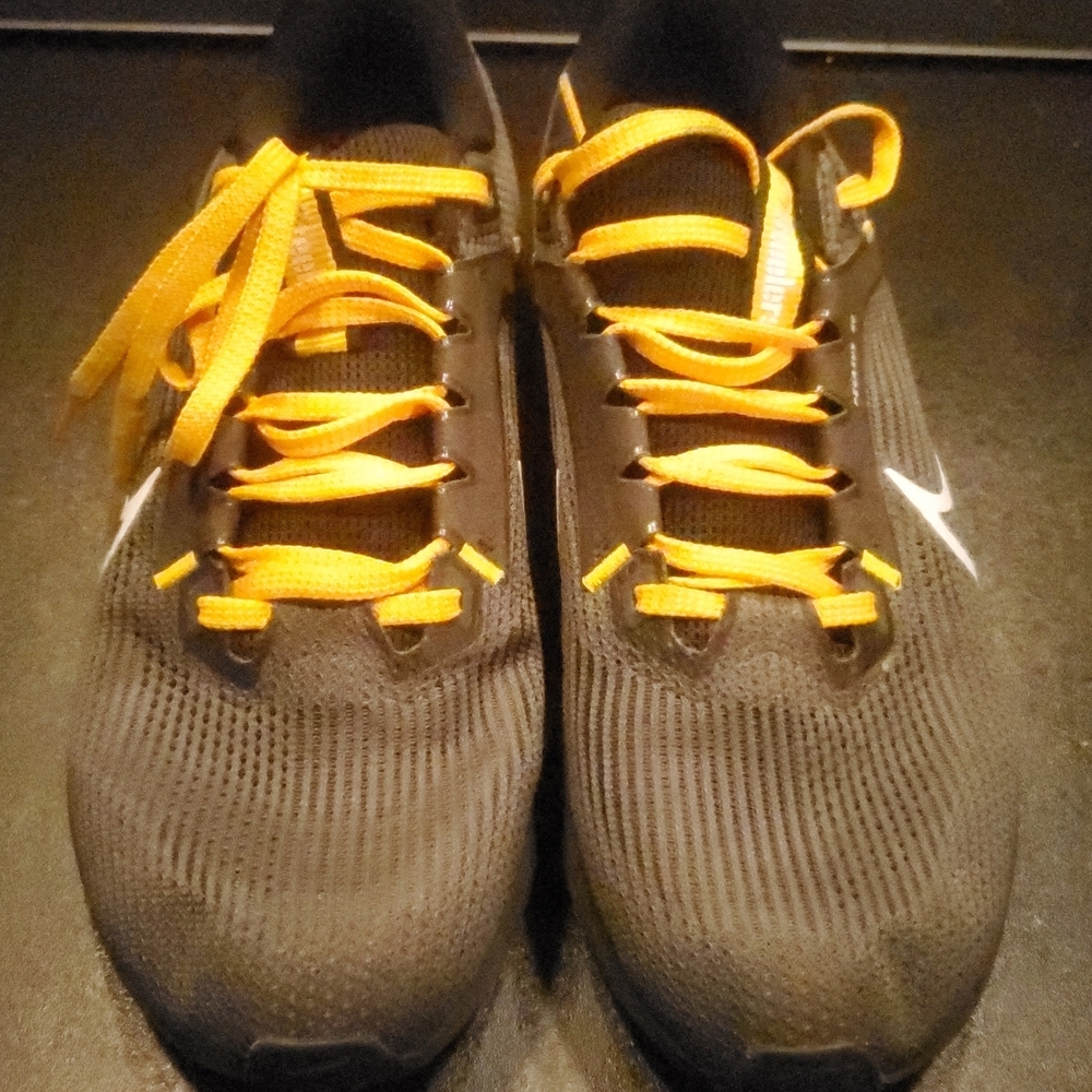 Nike Air Zoom Pegasus Steelers Grey Yellow Size.8.5M/10W